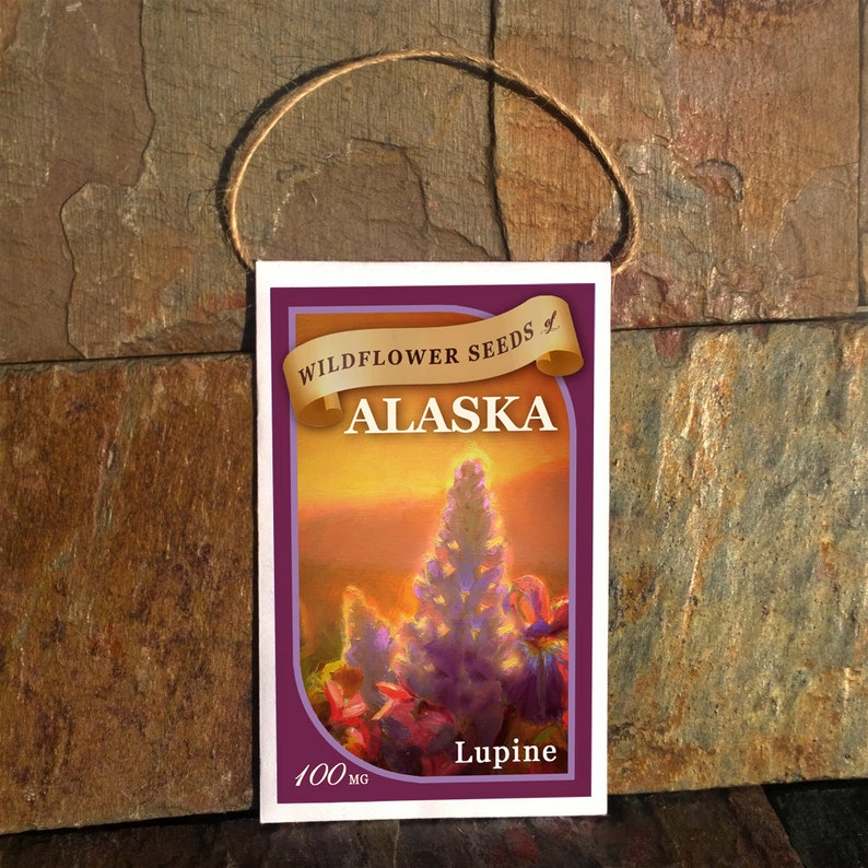 lupine wildflower seeds Lupine Seeds