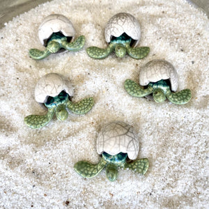 Pottery Sea Turtle Hatchling