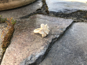 Forget Me Not Mammoth Ring