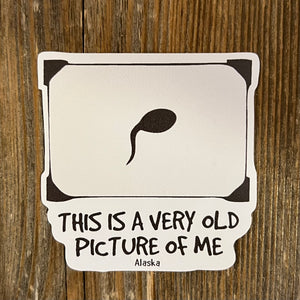 Swimmer Sticker 2 Inch