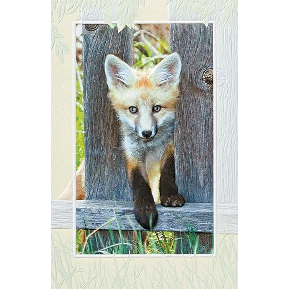 Peeking Fox Friendship Card