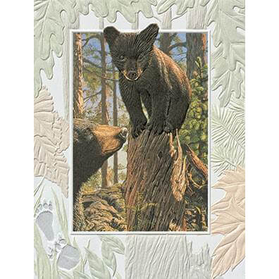 Bear Cub Encouragement Card
