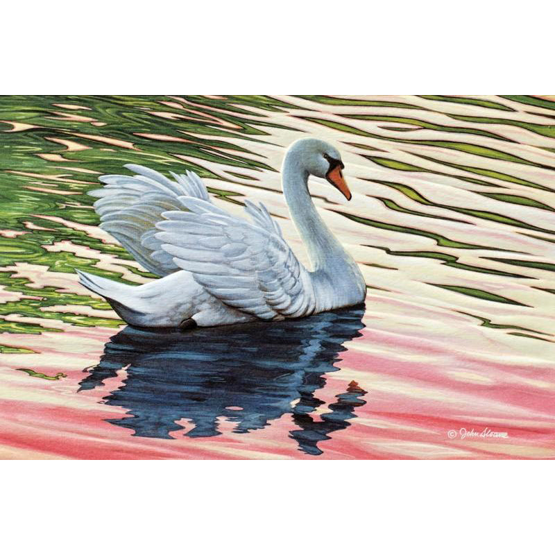 Swan Serenade Encouragement Card