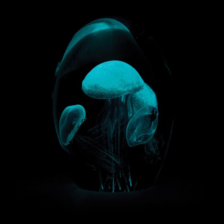 Glass Jellyfish Quad Teal Glow