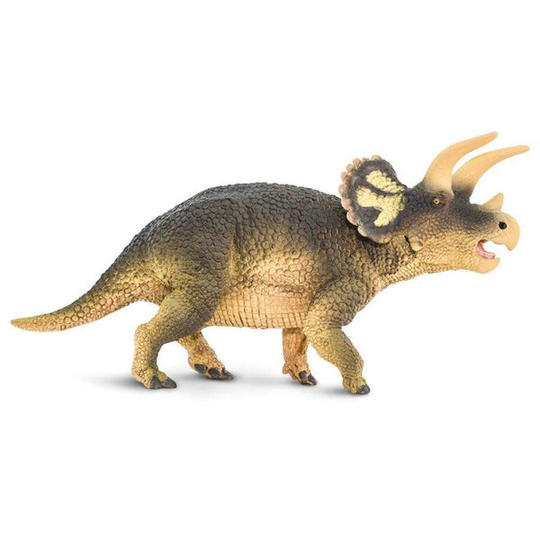 triceratops-